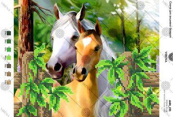 , Схема