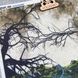 Канва_КЗ16_27х27_1003_Print_A` Канва принтована Канва КЗ16 27х27 1003 фото 3