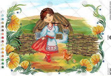 , Схема